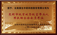帮扶联合会会员单位
